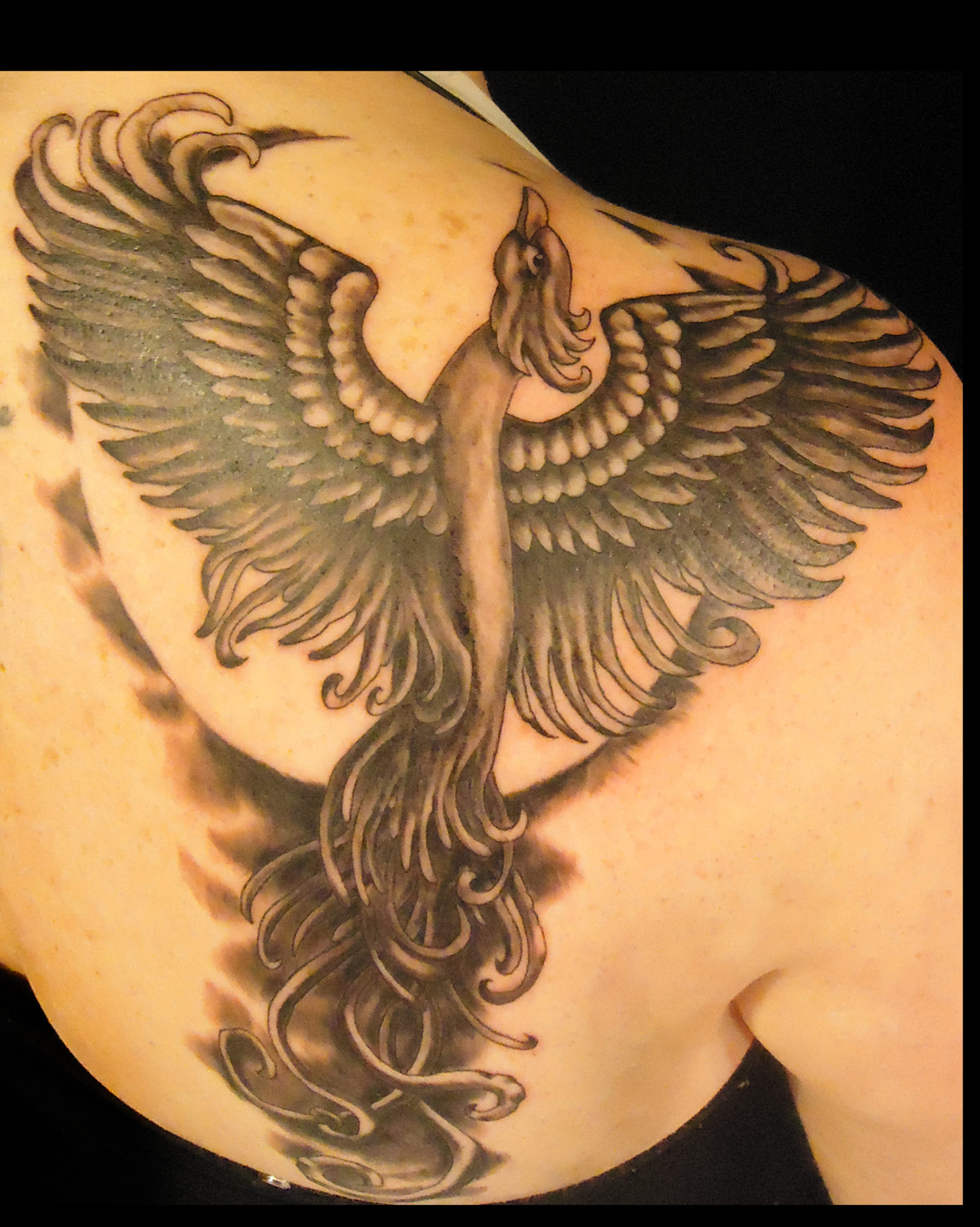 Dark Horse Tattoo